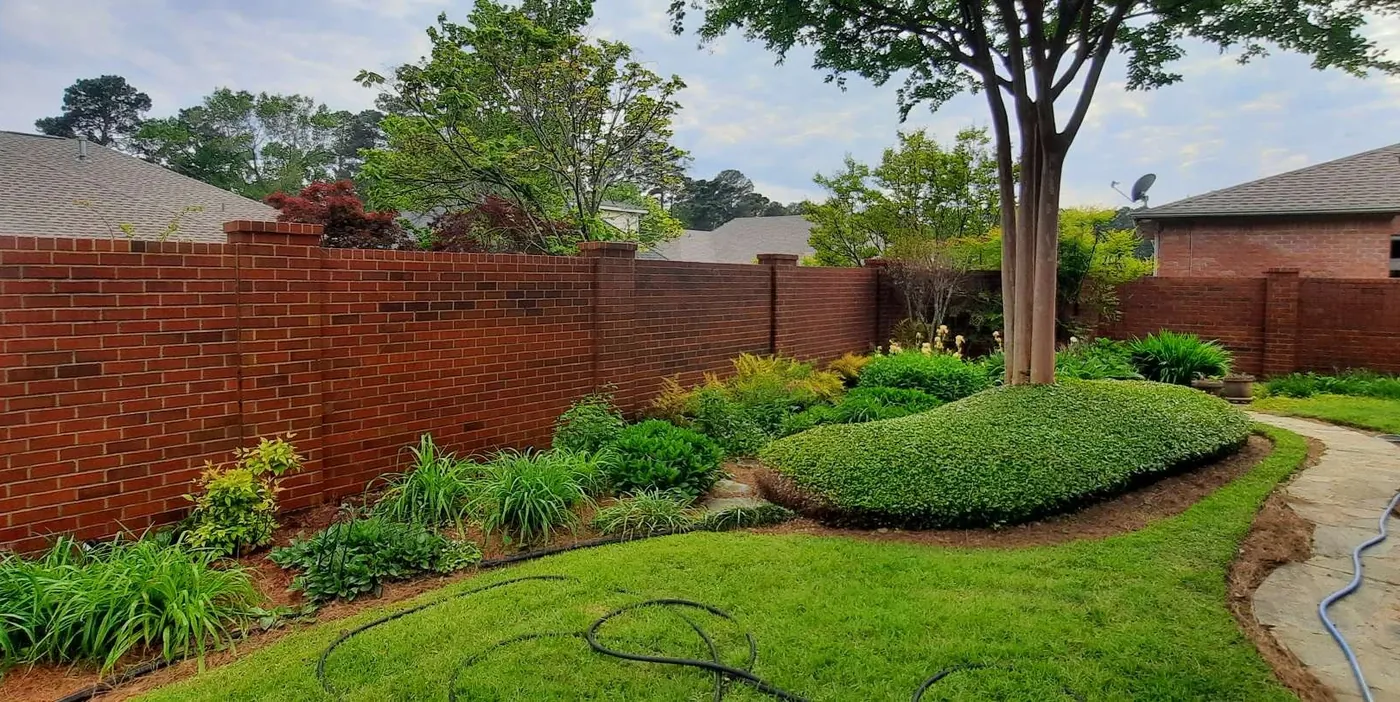 After: long brick privacy wall cleaned of dark mildew by B&H